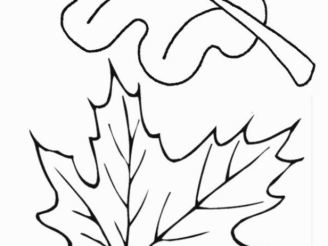 640x480 Big Fall Leaves Coloring Pages Easy To Draw Fall Leaves Big Leaf