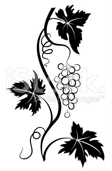 366x556 Decorative Stylized Pen And Ink Style Grapevine With Grape Bunch