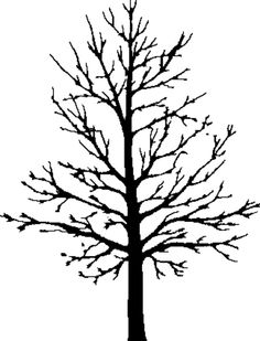 Leafless Tree Drawing