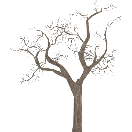 444x444 Leafless Tree