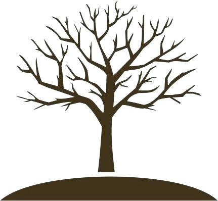 431x398 Leafless Tree Outline Leafless Tree Coloring