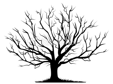 380x281 Leafless Tree Outline Printable Clip Art