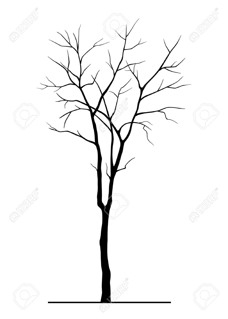 931x1300 Leafless Tree Silhouette Drawing