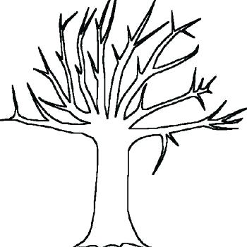 350x350 Leafless Tree Template Wonderful Outline Image Of Coloring