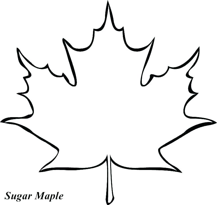 756x714 outline of a tree with branches bare tree branches coloring