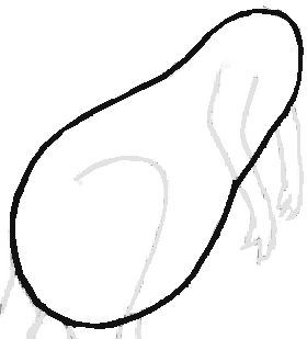 280x309 Kangaroo Footprints