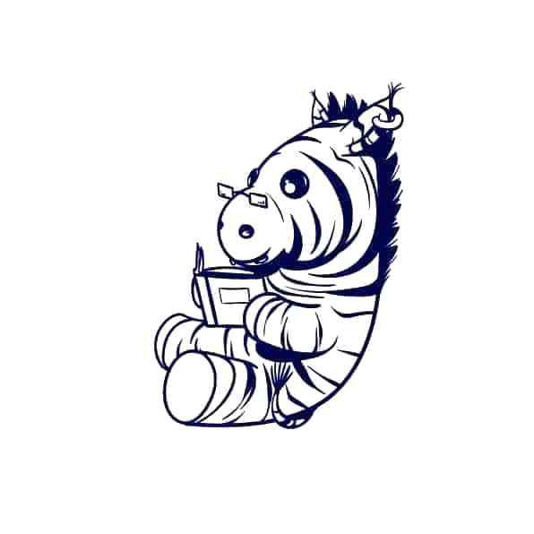 596x596 Zebra To Draw Zebra Drawing Outline