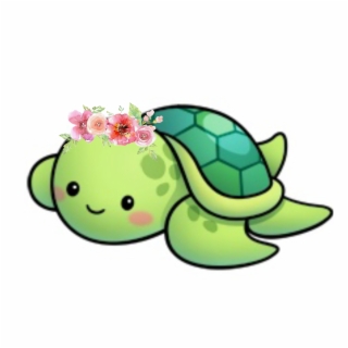 320x320 hd sea turtle hatchling notecards