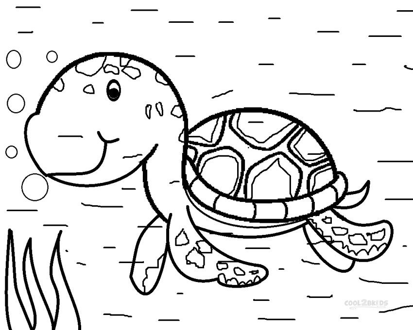 850x680 Leatherback Sea Turtle Drawing At Getdrawings Com Free For Baby