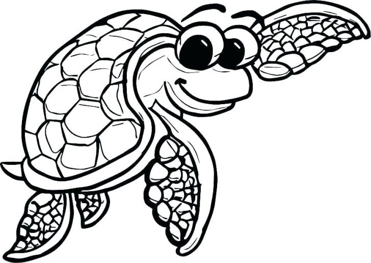 728x515 Mermaid Seahorse Coloring Pages Leatherback Sea Turtle Baby