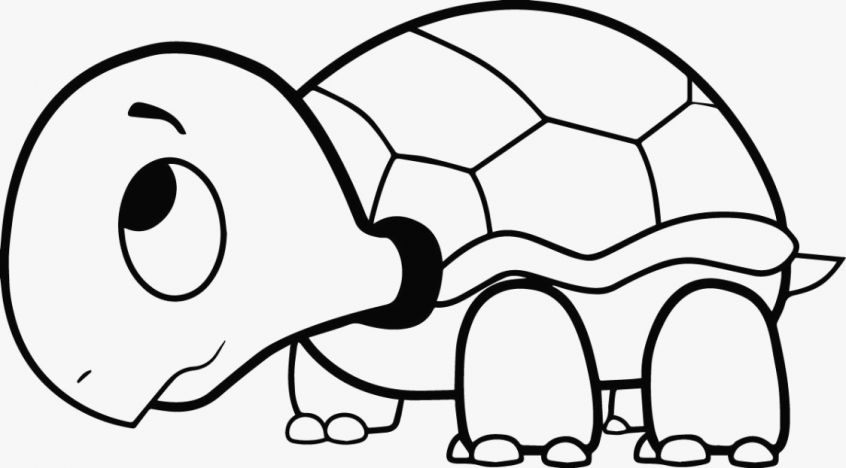 846x468 Coloring Pages Sea Turtle Coloring