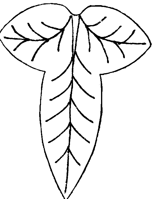 Leaves Blowing In The Wind Drawing