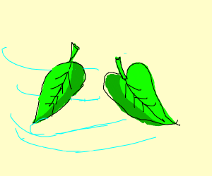 300x250 Controversial Weed