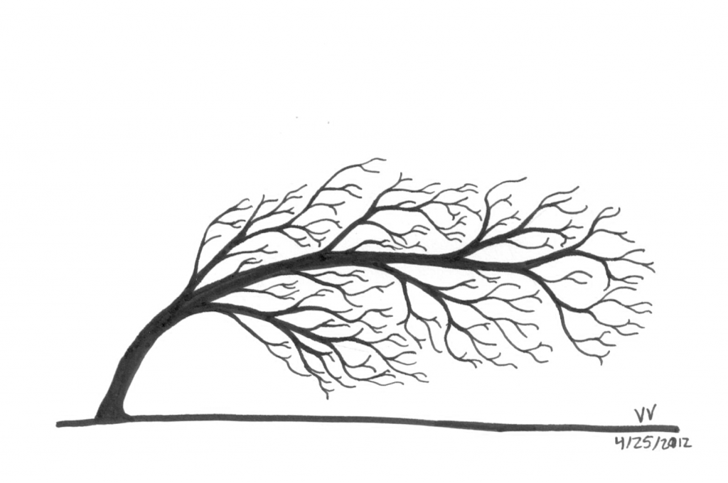 1024x680 Tree Drawing Wind For Free Download