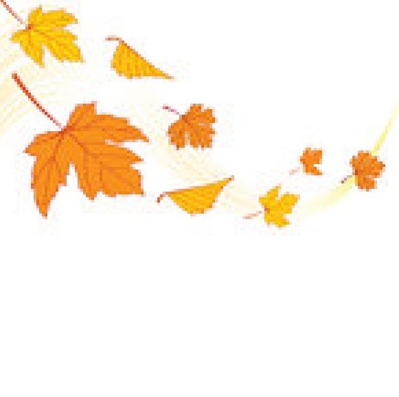 581x578 Red And Pink Leaves Blowing From A Tree Drawing Windy Weather