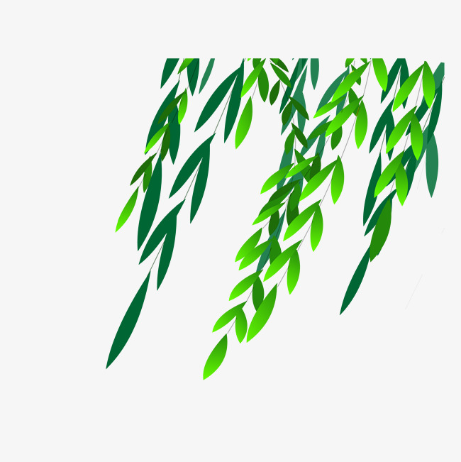 650x651 Spring Floating Leaves Hand Drawing Image