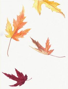 236x309 Wind Blown Fall Leaves Stock Photos Leaf Art