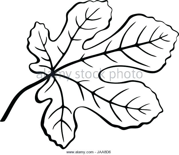 625x540 Coloring Pages Mini Fig Drawing Template Figures