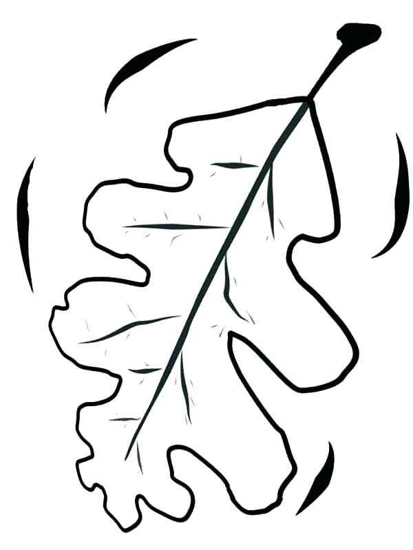 600x799 Fall Leaves Coloring