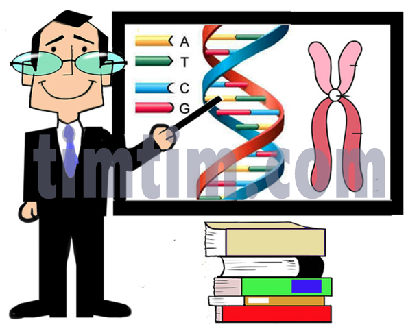 611x480 Free Drawing Of A Science Professor From The Category Occupations