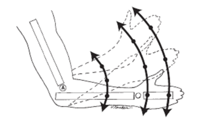 400x237 Terminology Lecture