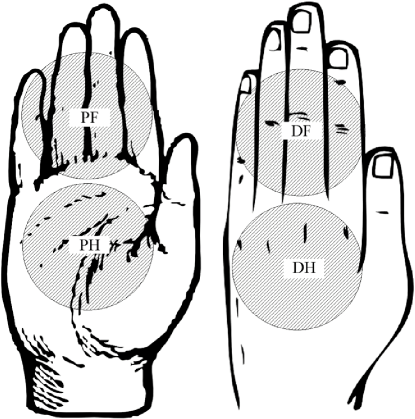 850x857 Illustration Of The Measurement Positions Of One Hand Palm Side