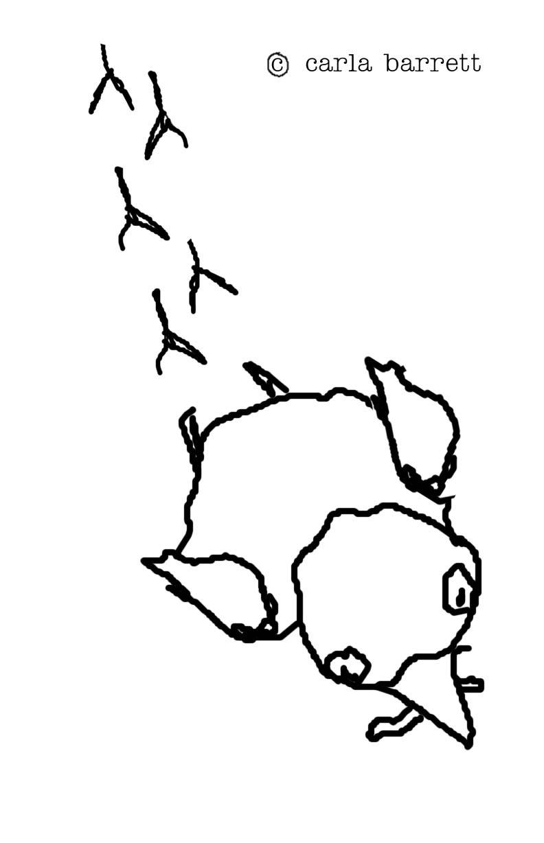 792x1228 left hand drawing carla barrett