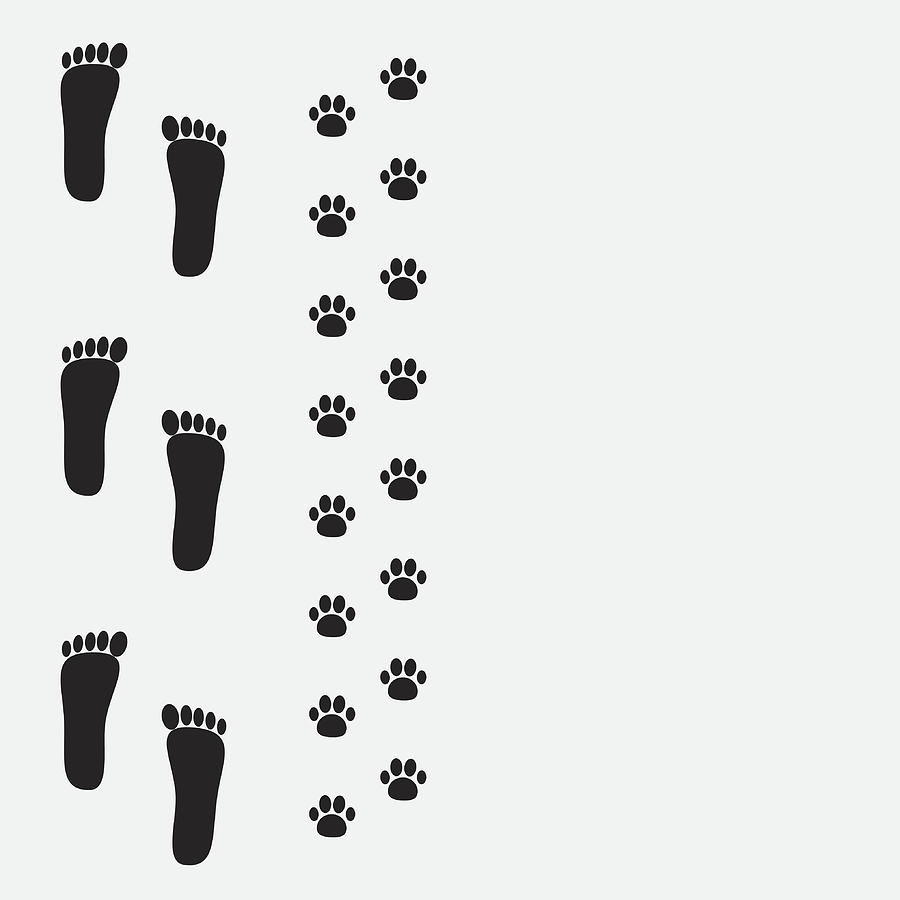 900x900 Bare Foot Print And Paw Print On The Left Drawing