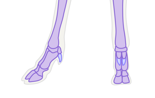 600x380 How To Draw Animals Deer