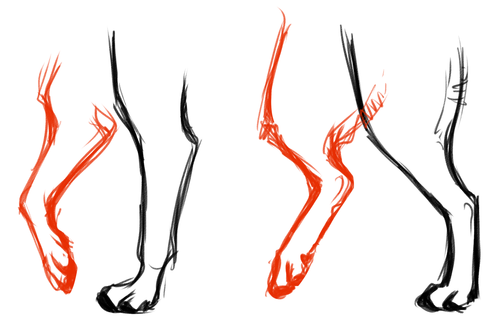 500x325 Human Figure Drawing Anatomy Reference