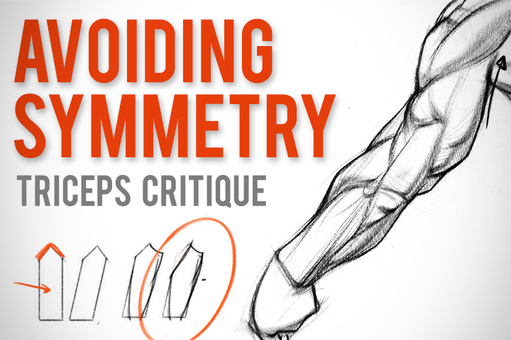 720x480 Avoiding Symmetry When Drawing Triceps Proko