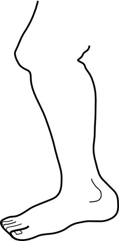 236x475 Z Drawing Legs V Roce