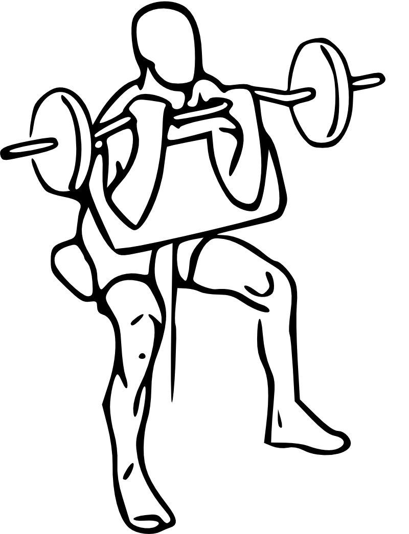 800x1046 Collection Of Free Drawing Arms Muscular Arm Download On Ui Ex