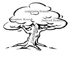 252x200 Political Issues In Pagosa Springs And Archuleta County