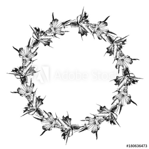 500x500 Frame Sketch Vector Graphics Monochrome Black And White Drawing