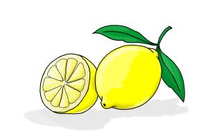 300x200 How To Draw A Lemon