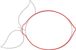 302x200 How To Draw How To Draw A Lemon