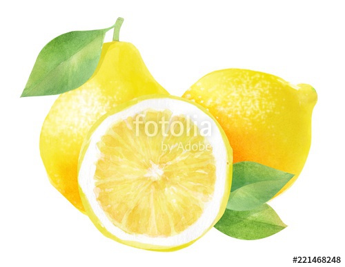500x388 whole lemon and half a lemon, watercolor hand drawn drawing
