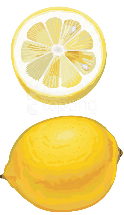 480x827 Download Lemon Drawing Cut Clipart Png Photo Toppng