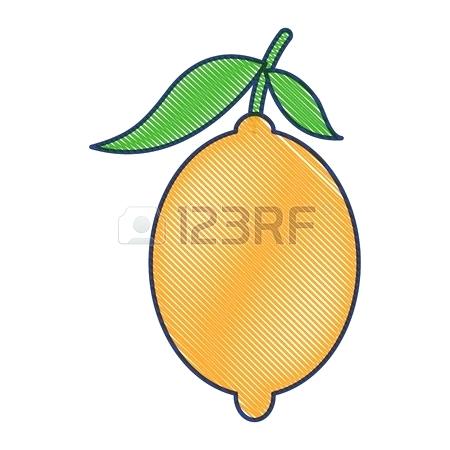 450x450 draw lemon image draw lemon tree
