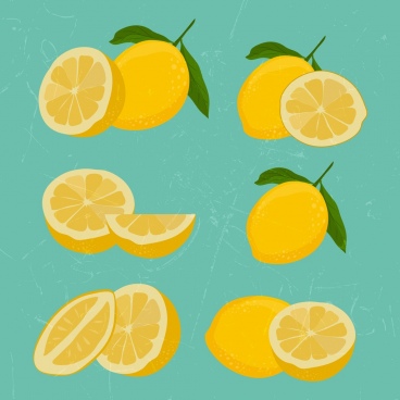 368x368 Lemon Slice Free Vector Download