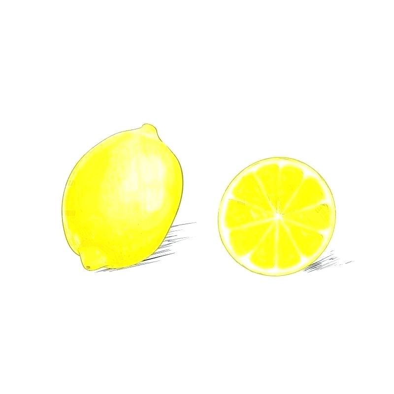 800x800 How Do You Draw A Lemon How To A Step