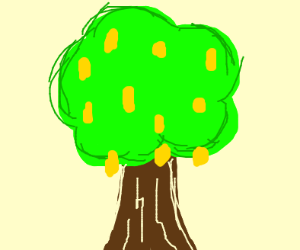 300x250 I'm Wasting My Time