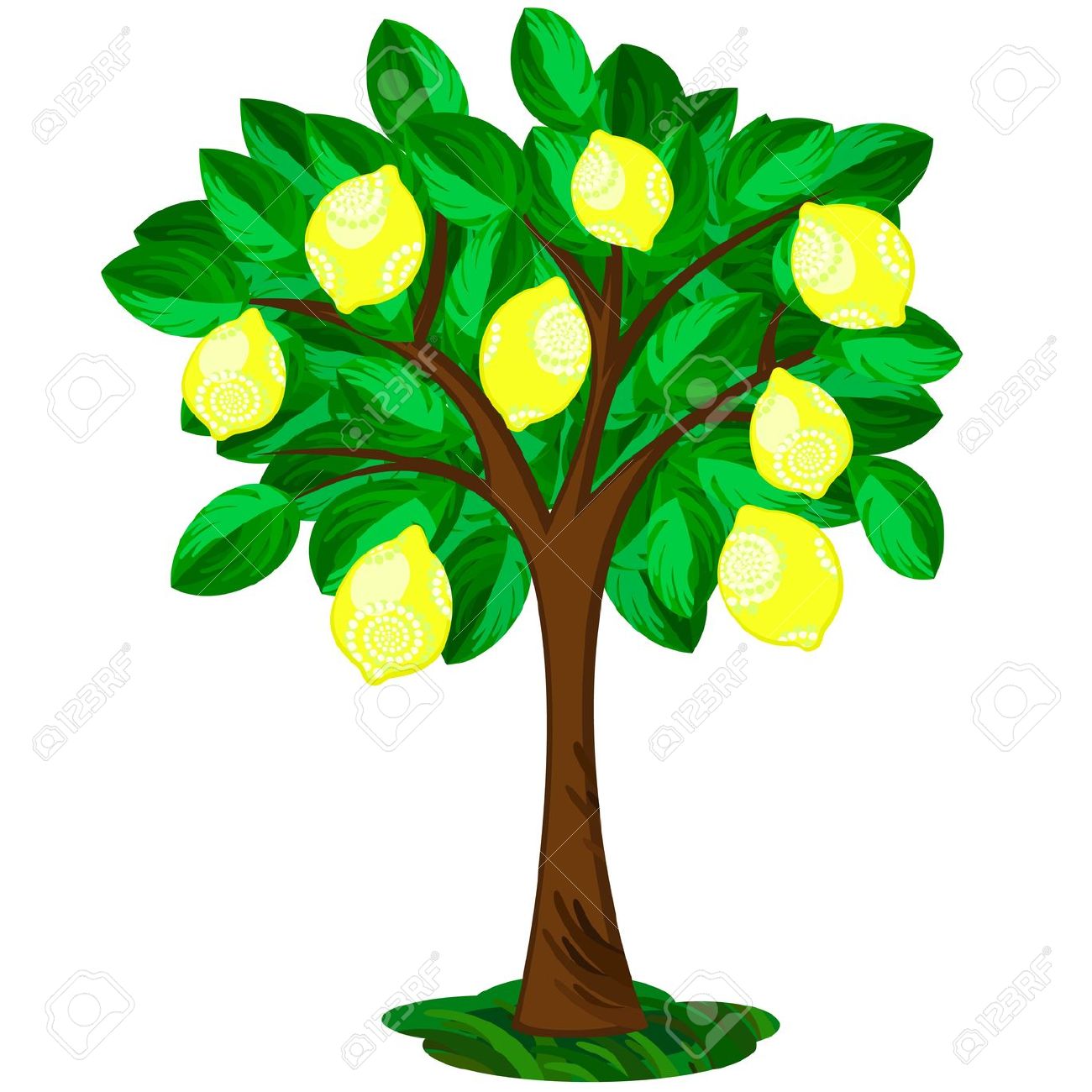 1300x1300 Lemon Tree Cliparts Clip Art