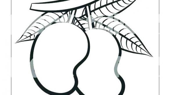 585x329 Lemon Tree Coloring