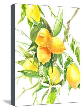 337x450 lemon tree stretched canvas print