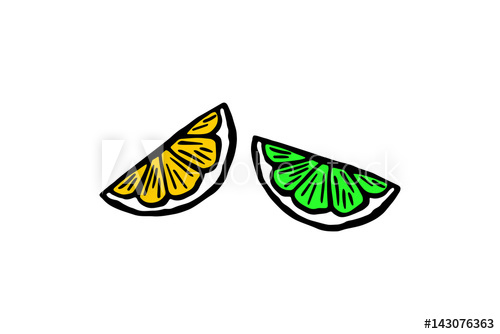 500x334 Drawing Of A Slice Of Lime And Orange, Vector Illustration