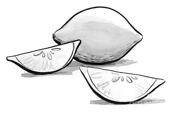 730x482 Lemon And Wedges Painting