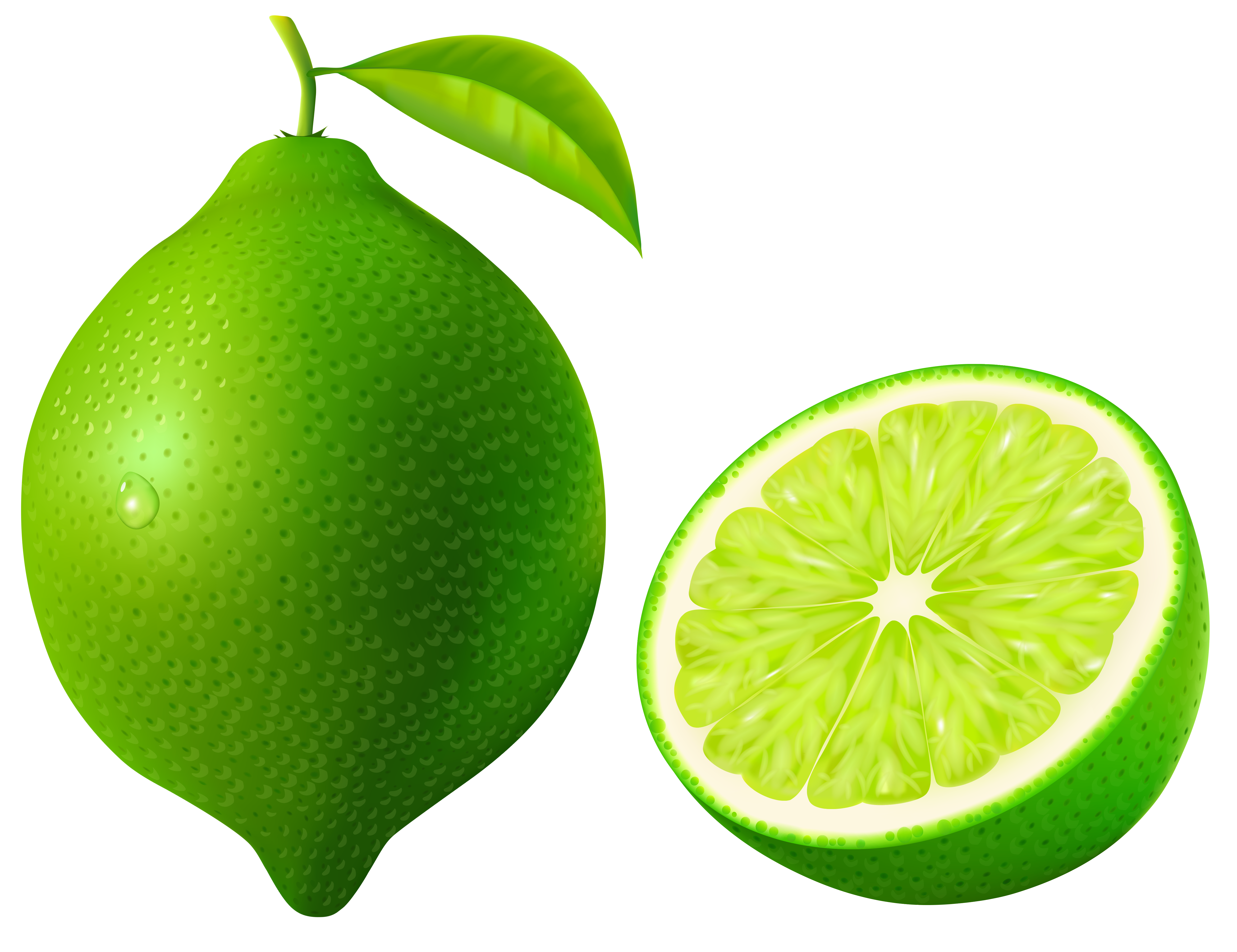 5218x4015 Lime Vector Free Download On Unixtitan