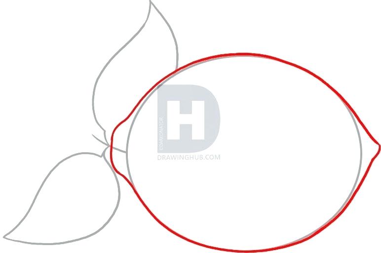 772x512 Draw Lemon How To Draw A Lemon Fun To Draw Lemonade